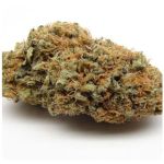 Шишки AK47 (Гидропоника, Бошка) VHQ в Балаково Шишки AK47 (Гидропоника, Бошка) VHQ в Балаково