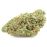 Шишки OG Kush (Гидропоника, бошки) VHQ в Балаково Шишки OG Kush (Гидропоника, бошки) VHQ в Балаково